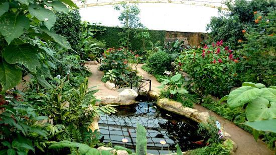 Mariposario de Benalmadena-Butterfly Park